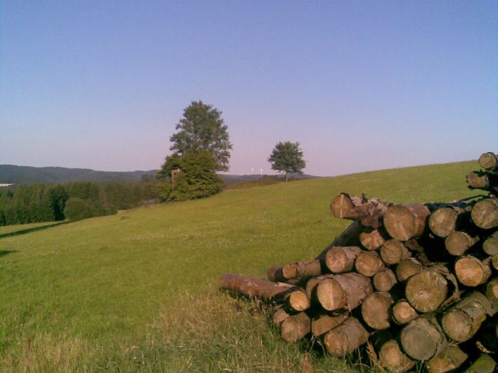 Am Windrad bei Dannenberg