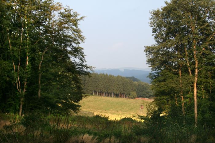 Sommerwetter über Becke-Oese