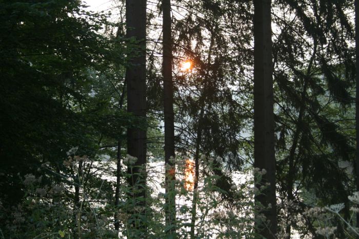 Sonnenuntergang über der Genkeltalsperre