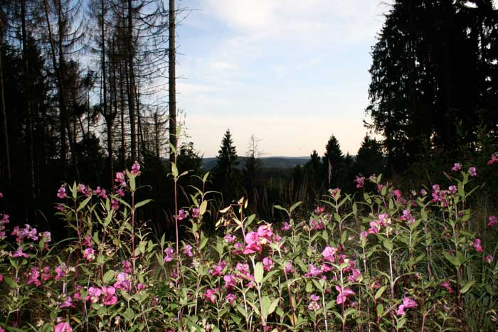 Gummersbach im Tal versteckt