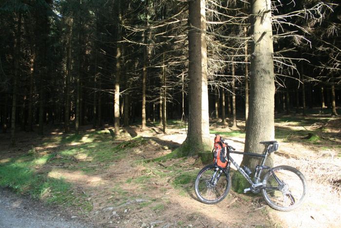 Rast für eine Fotosession