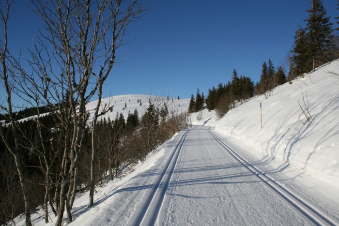 Langlauf-Loipe