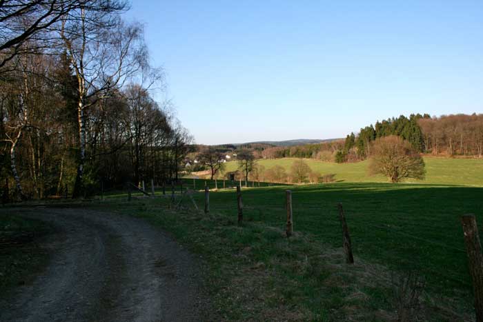 Waldweg bei Gummeroth