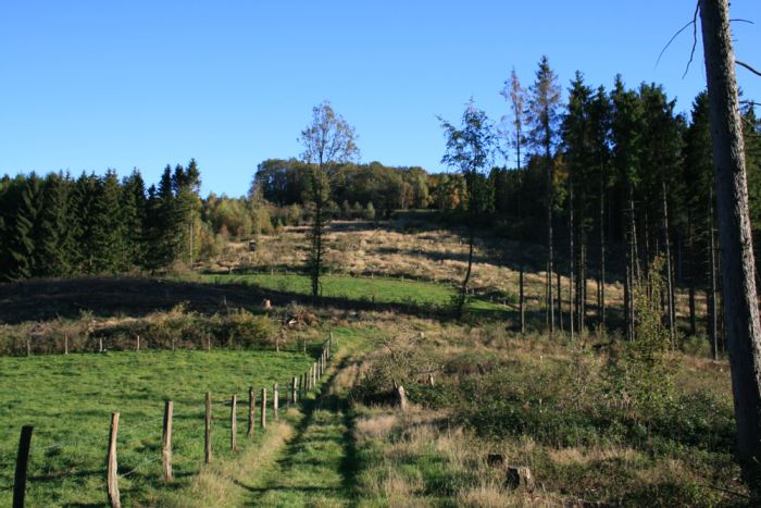 Singletrail vor Niederseßmar